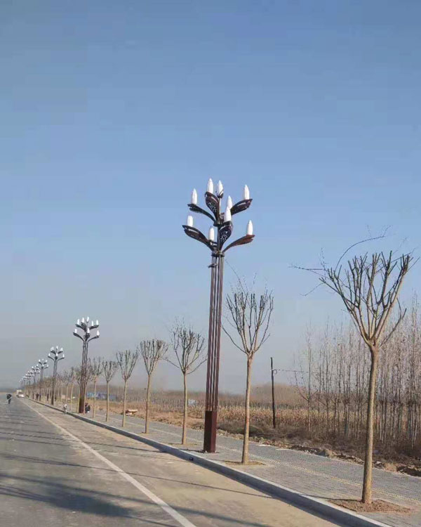 貴陽市玉蘭燈工程 貴陽市玉蘭燈工程