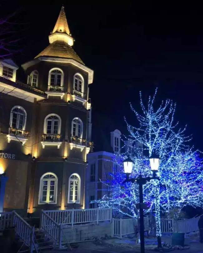 吉林省松原小鎮(zhèn)亮化案例